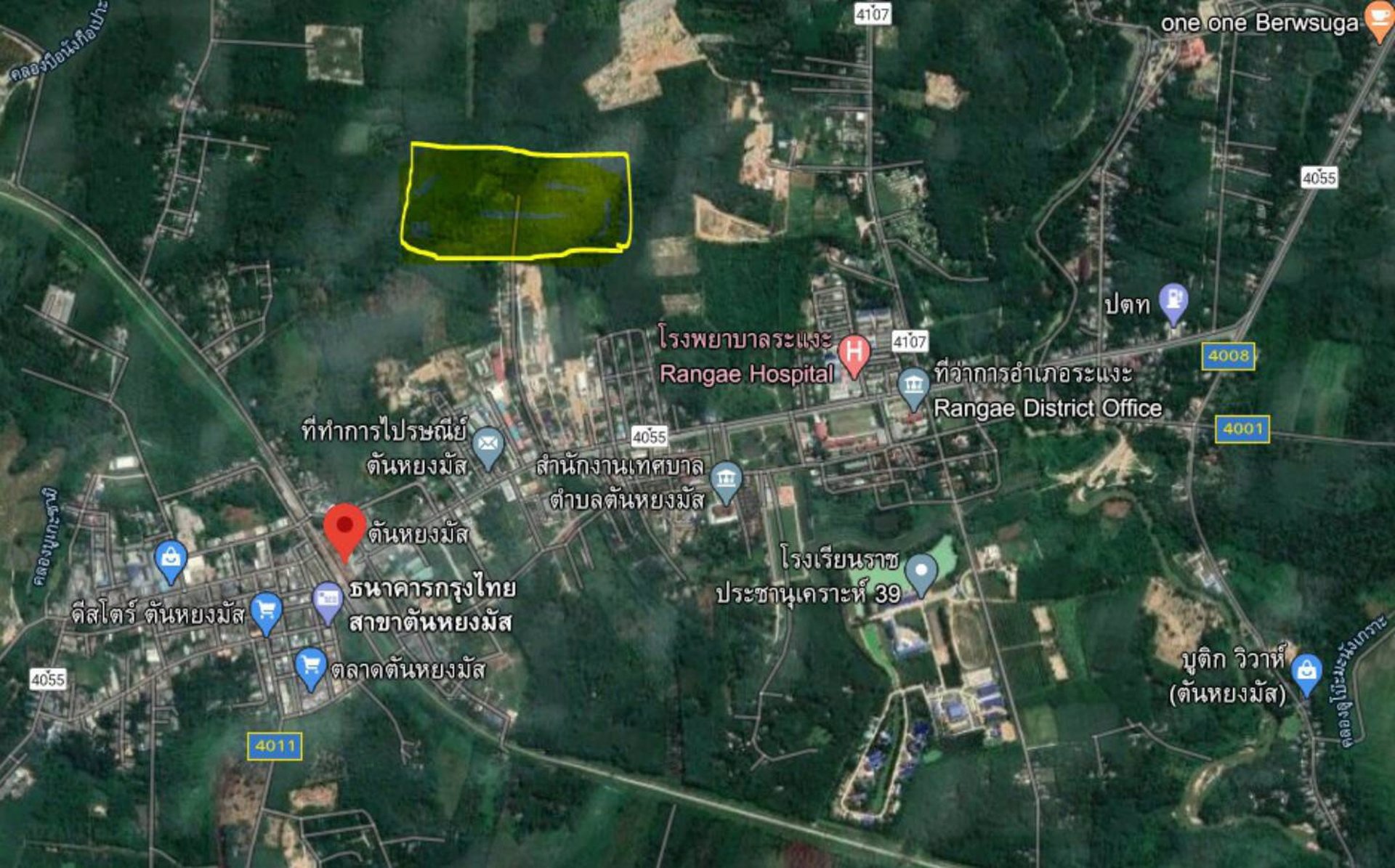 ขายที่ดิน-36ไร่-2งาน-919ตารางวา-อำเภอระแงะ-จังหวัดนราธิวาส