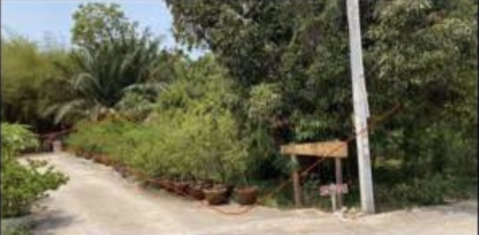 ขายที่ดินถมแล้ว-400-ตารางวา-สวยมาก-ใจกลางเมืองศรีราชา-ชลบุรี