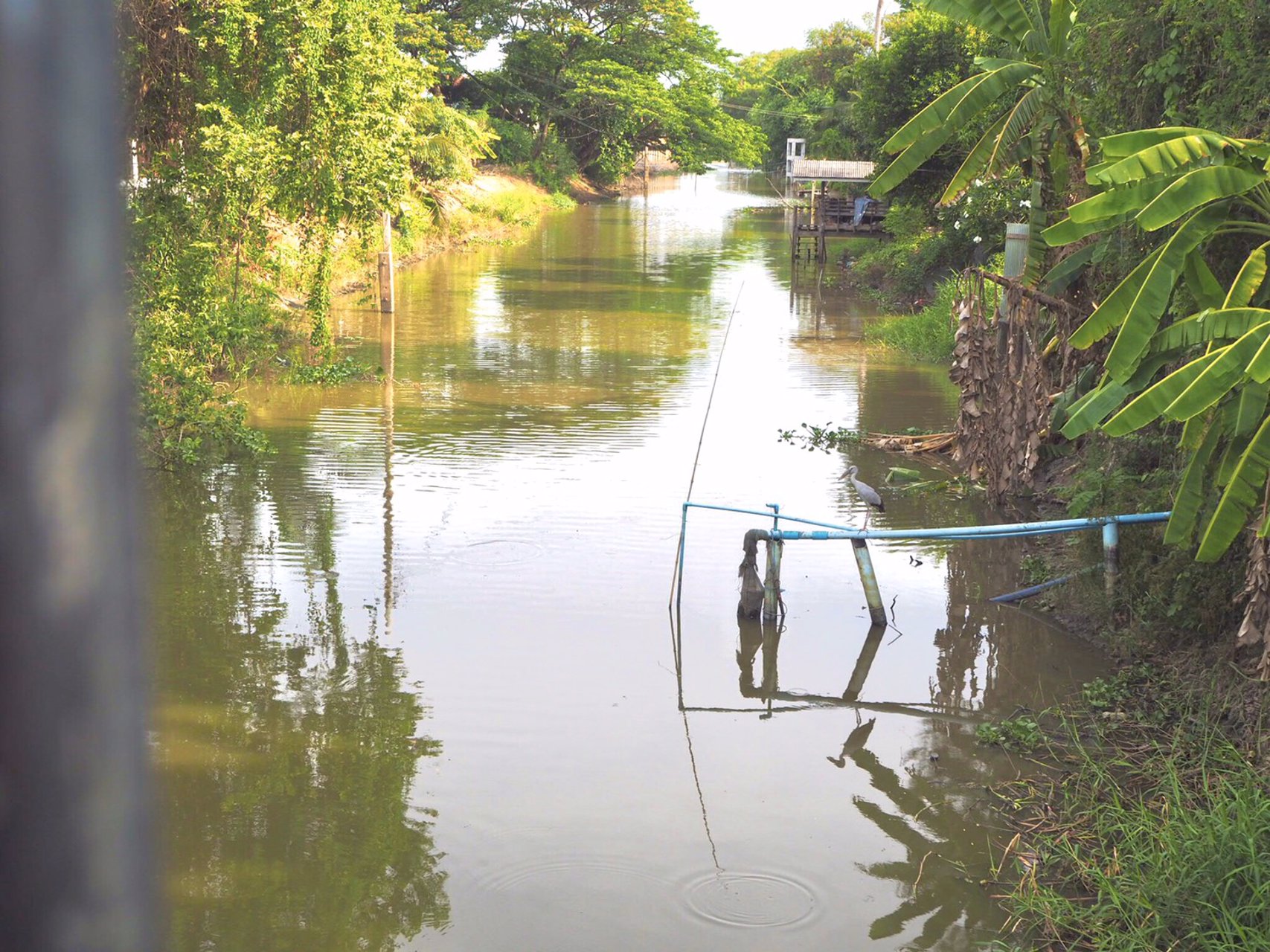 ขายบ้านเดี่ยวริมคลอง-105-ตารางวา-ราคาถูกมาก-บางใหญ่