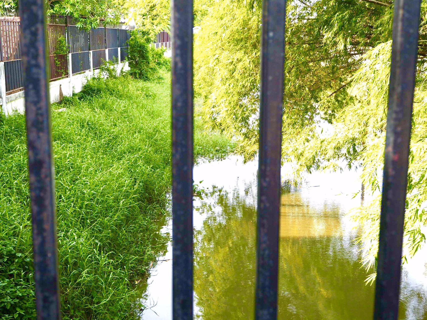 ขายบ้านเดี่ยวริมคลอง-105-ตารางวา-ราคาถูกมาก-บางใหญ่