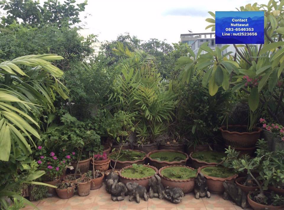 ขายคอนโด-บ้านกาญจนาคม-พหลโยธิน-ซอย-2-ขนาด-138-ตรม-สามเสนใน-พญาไท-กรุงเทพมหานคร