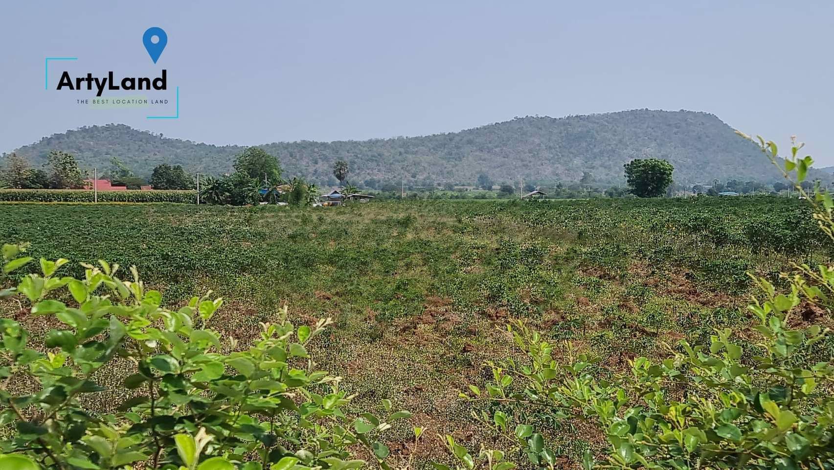 มาแล้ว-ที่ดินทำเลดี-มีอนาคต-ติดถนนคอนกรีตทุกแปลง-วิวเขาลูกใหญ่