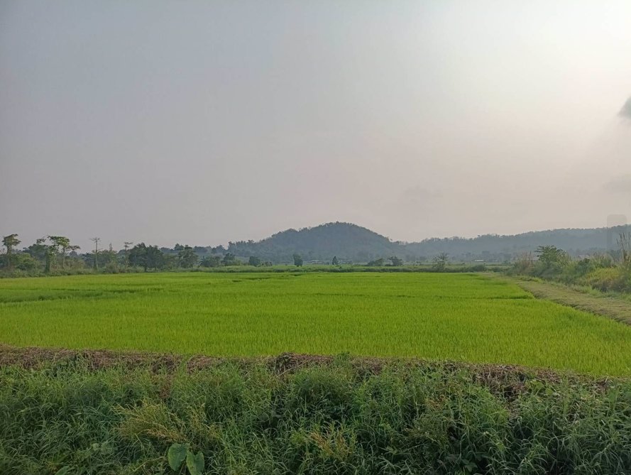 ขายที่ดินนางแลในเชียงราย-ใกล้ถนนเลี่ยงเมืองไปเชียงใหม่เพียง-30-เมตร