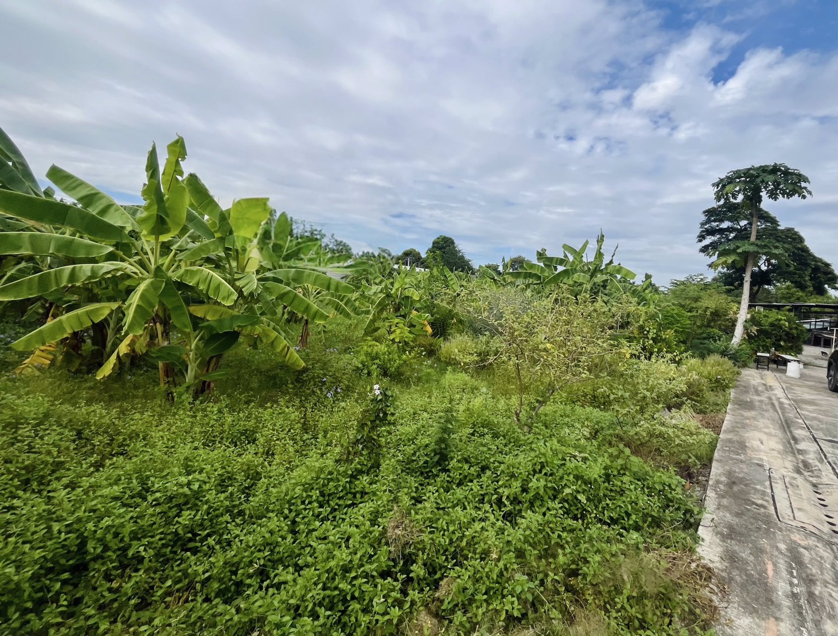 ขายที่ดินผืนใหญ่-8-ไร่-ใกล้เลียบทางด่วนเอกมัย-รามอินทรา-โยธินพัฒนา-3-ประดิษมนูธรรม-นวมินทร์-111