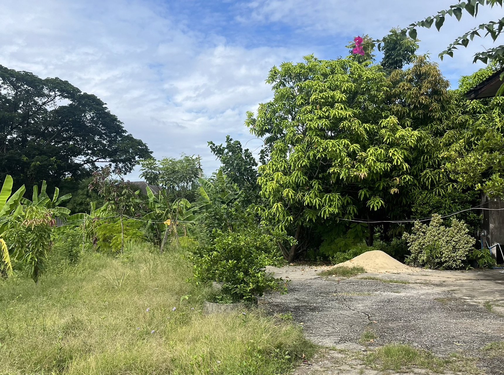 ขายที่ดินผืนใหญ่-8-ไร่-ใกล้เลียบทางด่วนเอกมัย-รามอินทรา-โยธินพัฒนา-3-ประดิษมนูธรรม-นวมินทร์-111