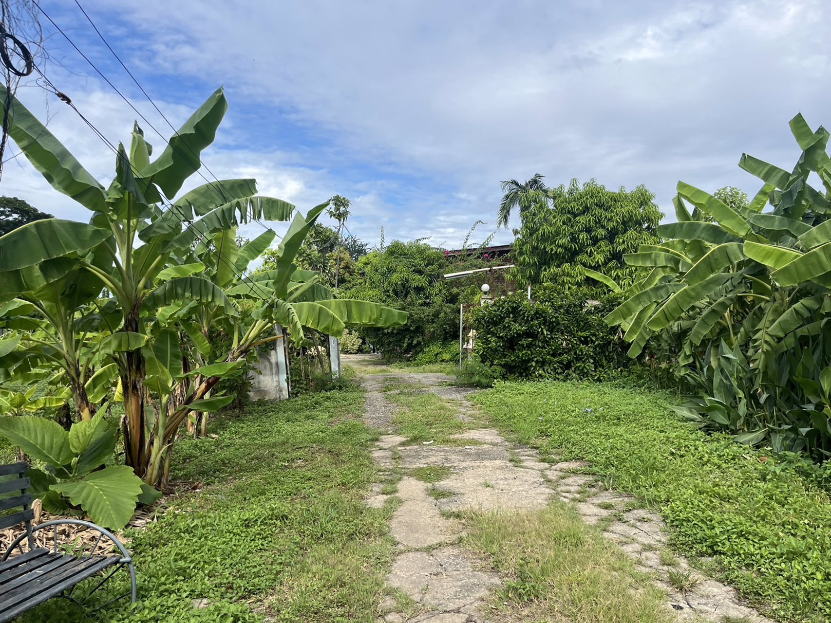 ขายที่ดินผืนใหญ่-8-ไร่-ใกล้เลียบทางด่วนเอกมัย-รามอินทรา-โยธินพัฒนา-3-ประดิษมนูธรรม-นวมินทร์-111