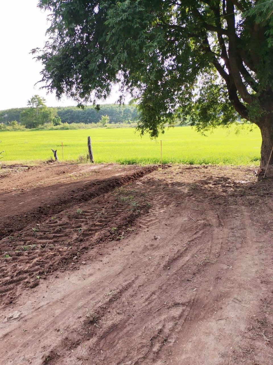 ที่ดินแบ่งขายหน้าด่านเชียงของ-สะพานมิตรภาพไทย-ลาวที่4