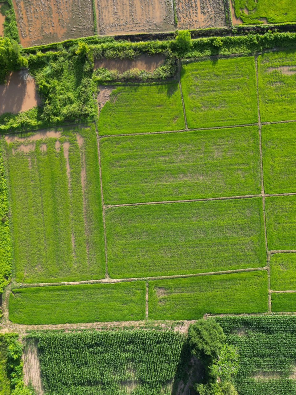 ที่ดินแบ่งขายหน้าด่านเชียงของ-สะพานมิตรภาพไทย-ลาวที่4