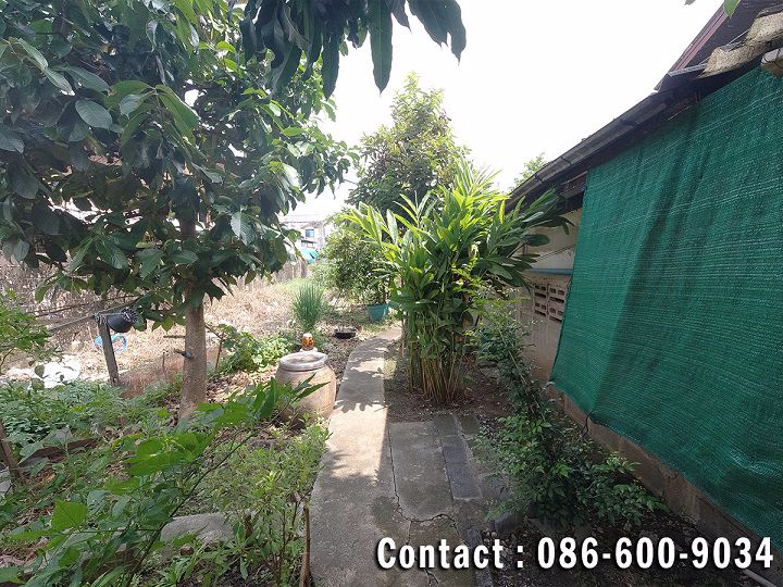 ขายบ้านสองหลังพื้นที่-133-ตรว-ราคาถูก-ใกล้รถไฟฟ้า-bts-โรงเรียนนายเรือเพียง-700-เมตร-