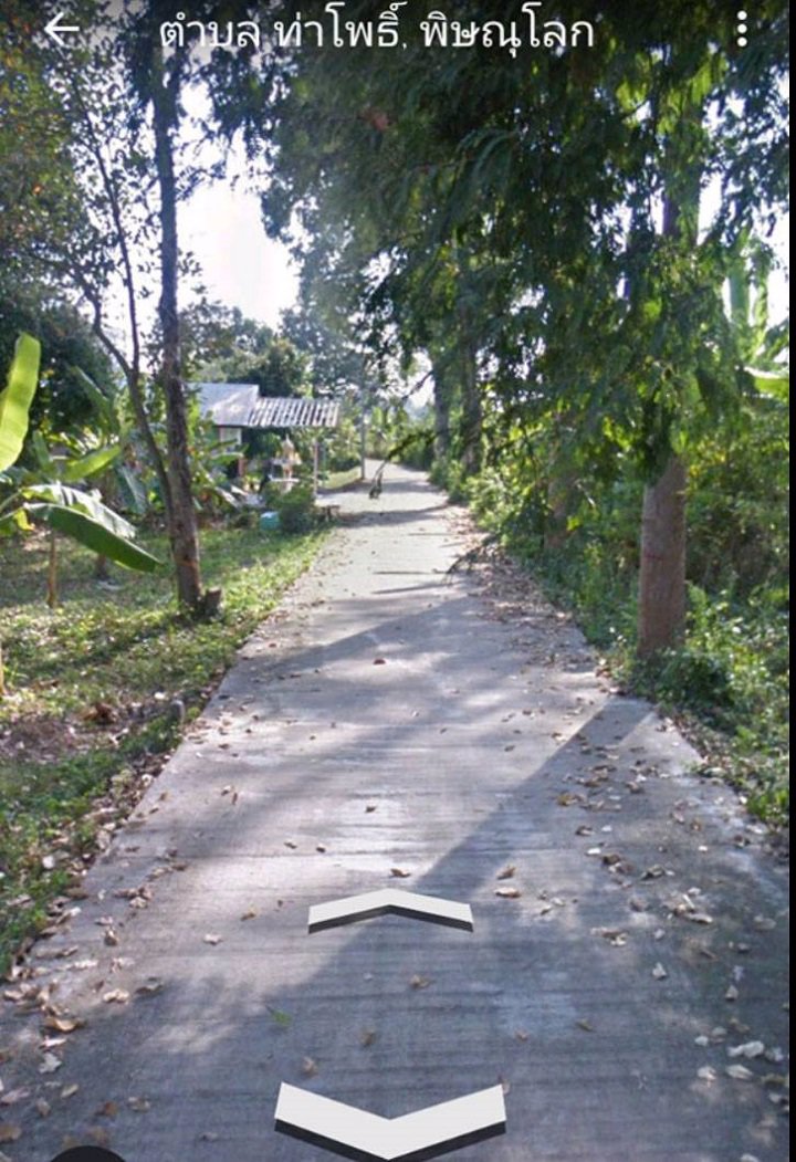 ขายที่ดินห่างจากริมแม่น้ำน่านราว-80-เมตร-อเมือง-จ-พิษณุโลก-ถูกมาก-ต่อรองได้