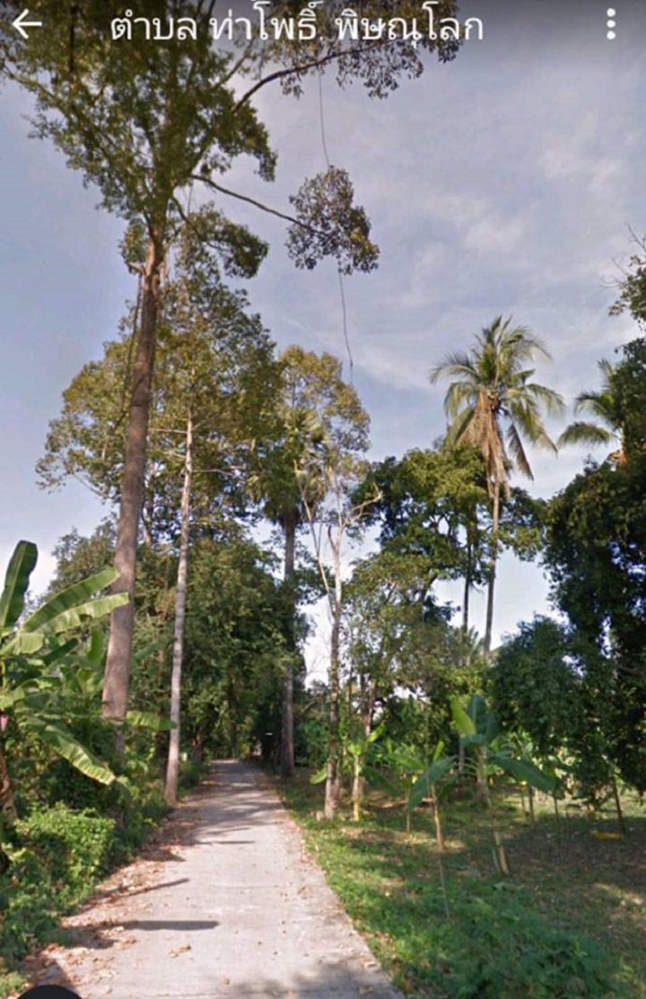 ขายที่ดินห่างจากริมแม่น้ำน่านราว-80-เมตร-อเมือง-จ-พิษณุโลก-ถูกมาก-ต่อรองได้