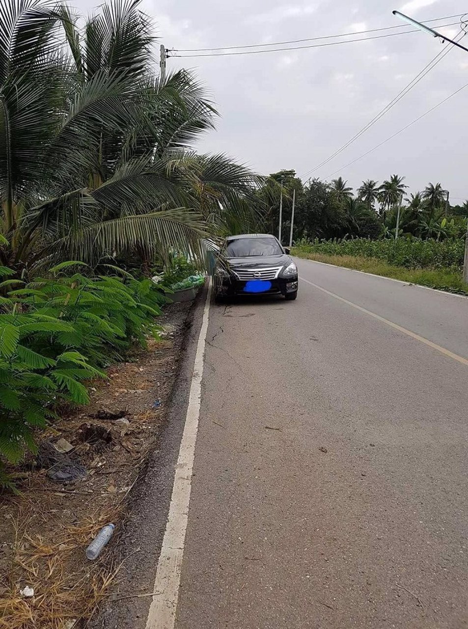 ขายที่ดิน-2-ไร่สวนมะม่วงพร้อมบ้านเดี่ยว-2-ชั้น-สามพราน-นครปฐม