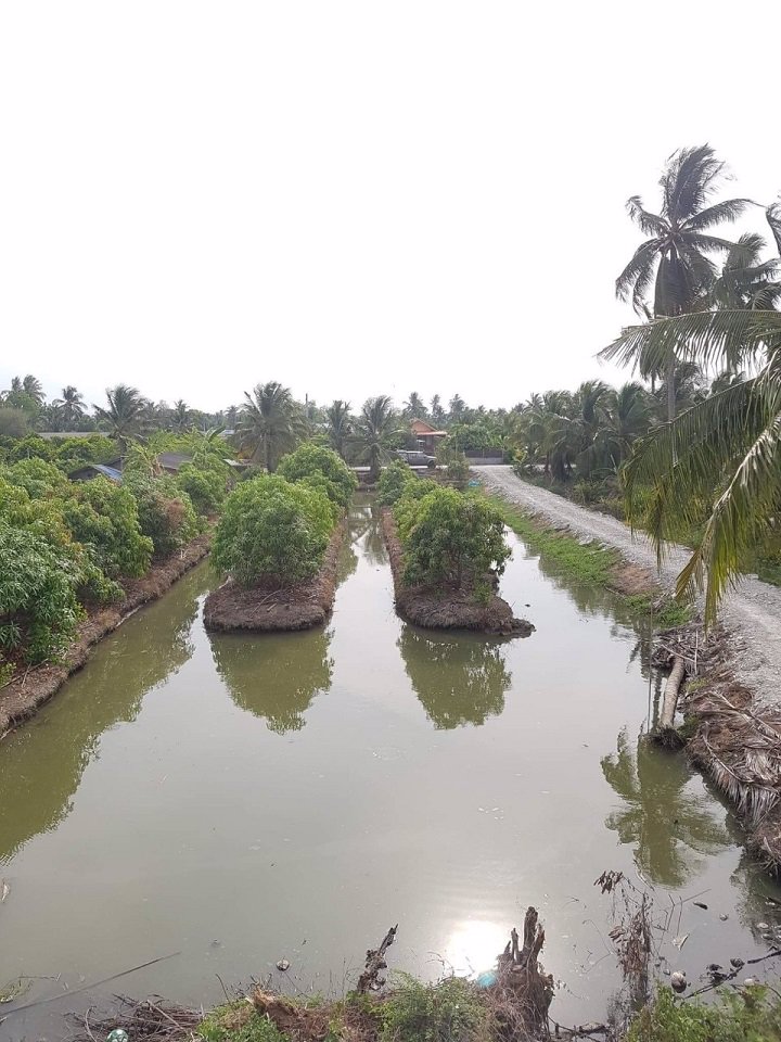 ขายที่ดิน-2-ไร่สวนมะม่วงพร้อมบ้านเดี่ยว-2-ชั้น-สามพราน-นครปฐม