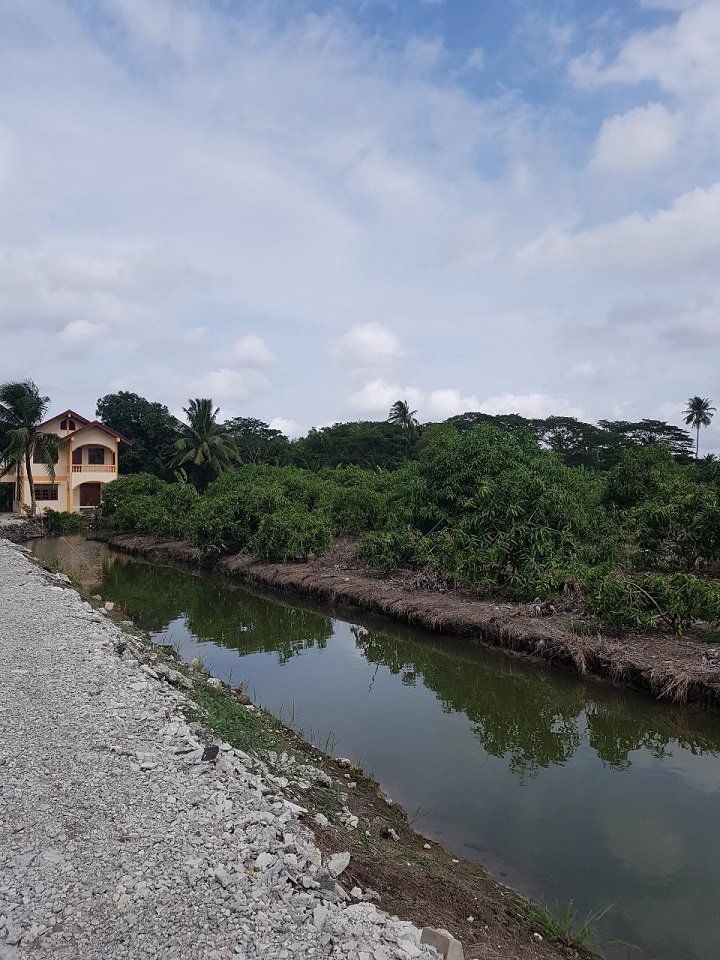 ขายที่ดิน-2-ไร่สวนมะม่วงพร้อมบ้านเดี่ยว-2-ชั้น-สามพราน-นครปฐม