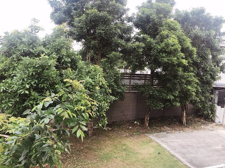 ขายถูก-บ้านเดี่ยว-โครงการเนเชอร่า-วารี-ปิ่นเกล้า-พระราม-5-บางใหญ่-นนทบุรี