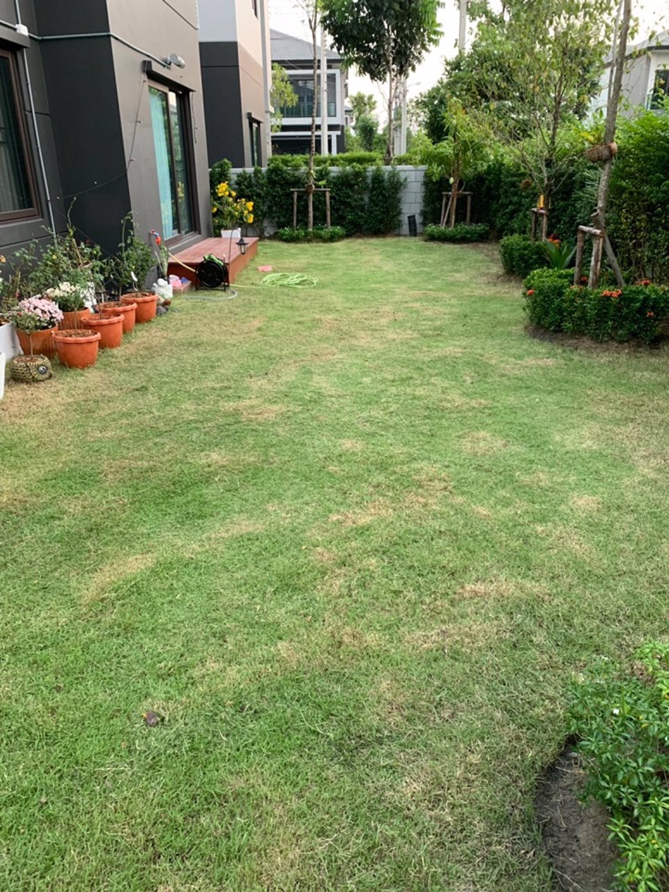 ขาย-ให้เช่า-บ้านเดี่ยว-ม-เซนโทร-บางนา-กม-7-หลังห้างเมกาบางนา-บ้านสภาพใหม่-พร้อมเฟอร์นิเจอร์