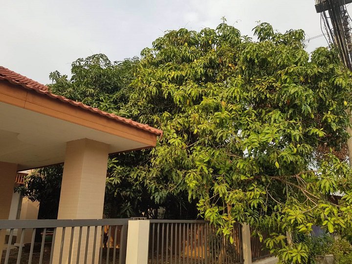 ขาย-ให้เช่า-บ้านเดี่ยว-หมู่บ้าน-สัมมากร-นิมิตรใหม่-คลองสามวา-กทม