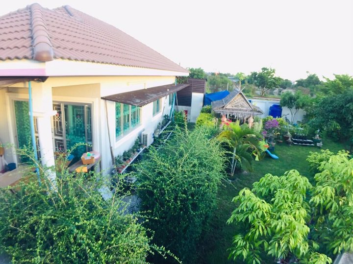 ขาย-หรือให้เช่า-บ้านเดี่ยวชั้นเดียว-ตนาป่า-อเมืองชลบุรี-จชลบุรี