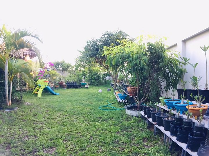 ขาย-หรือให้เช่า-บ้านเดี่ยวชั้นเดียว-ตนาป่า-อเมืองชลบุรี-จชลบุรี