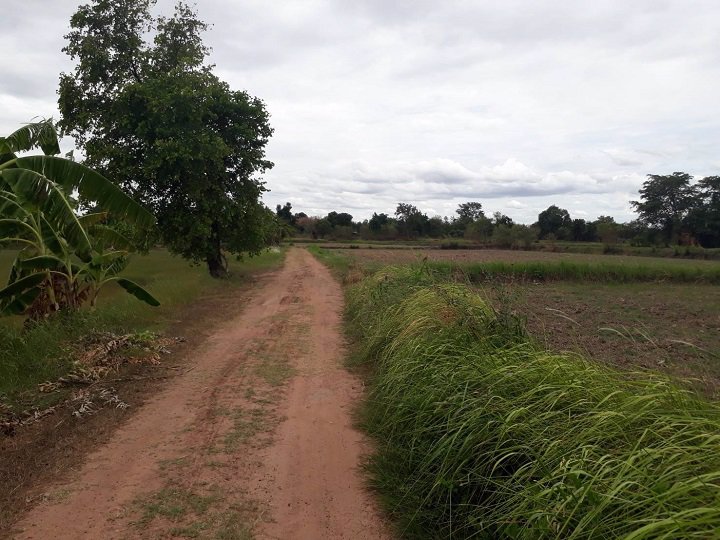 ขายที่ดิน-เนื้อที่-5-ไร่-1-งาน-81-ตรว-ตช่องสามหมอ-อคอนสวรรค์-จชัยภูมิ