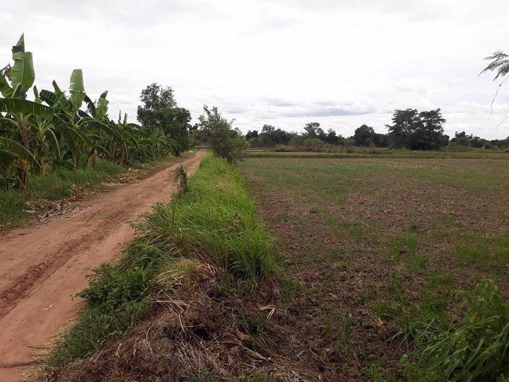 ขายที่ดิน-เนื้อที่-5-ไร่-1-งาน-81-ตรว-ตช่องสามหมอ-อคอนสวรรค์-จชัยภูมิ