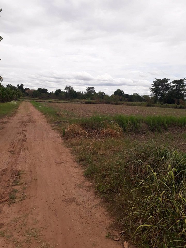 ขายที่ดิน-เนื้อที่-5-ไร่-1-งาน-81-ตรว-ตช่องสามหมอ-อคอนสวรรค์-จชัยภูมิ