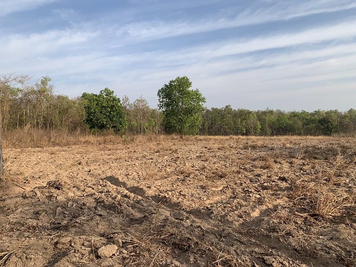 ขายที่ดินยกแปลง-จำนวน-14-ไร่-2-งาน-83-ตรว-เป็นที่มีโฉนด-