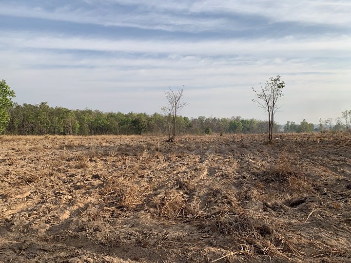 ขายที่ดินยกแปลง-จำนวน-14-ไร่-2-งาน-83-ตรว-เป็นที่มีโฉนด-