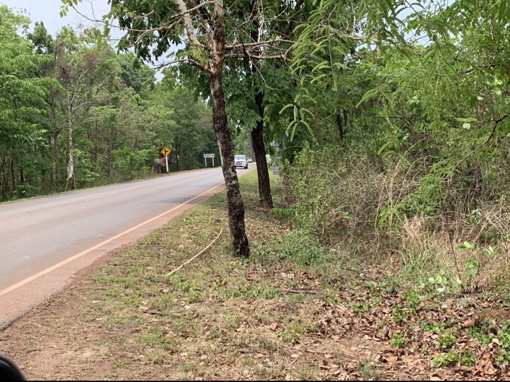 ขายที่ดินยกแปลง-จำนวน-14-ไร่-2-งาน-83-ตรว-เป็นที่มีโฉนด-