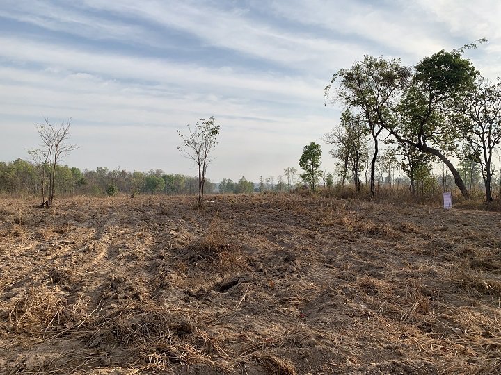 ขายที่ดินยกแปลง-จำนวน-14-ไร่-2-งาน-83-ตรว-เป็นที่มีโฉนด-