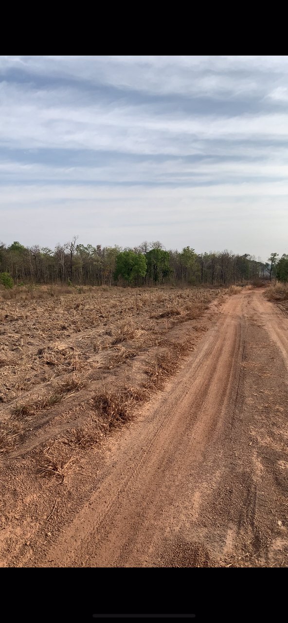 ขายที่ดินยกแปลง-จำนวน-14-ไร่-2-งาน-83-ตรว-เป็นที่มีโฉนด-