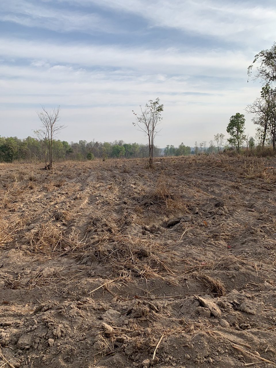 ขายที่ดินยกแปลง-จำนวน-14-ไร่-2-งาน-83-ตรว-เป็นที่มีโฉนด-