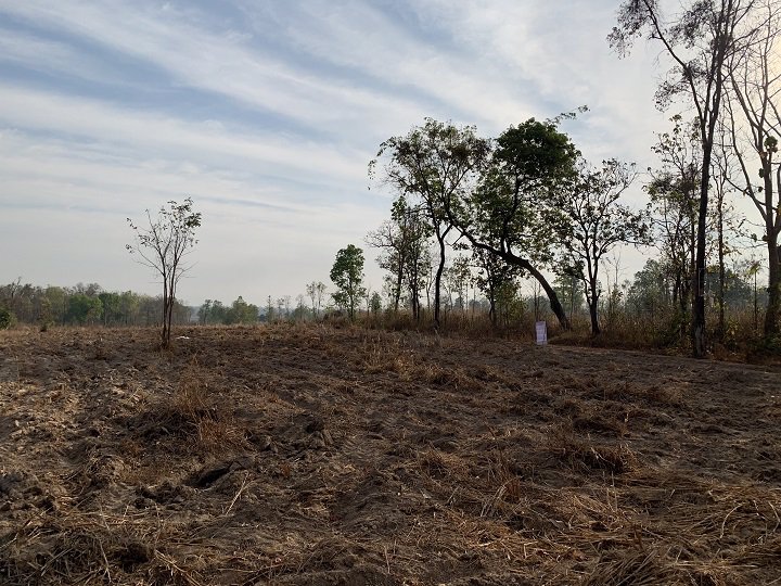 ขายที่ดินยกแปลง-จำนวน-14-ไร่-2-งาน-83-ตรว-เป็นที่มีโฉนด-