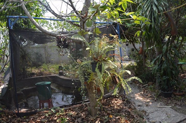 ขายด่วน-บ้านเดี่ยว-อนางรอง-จบุรีรัมย์-ขายถูกสุดๆ