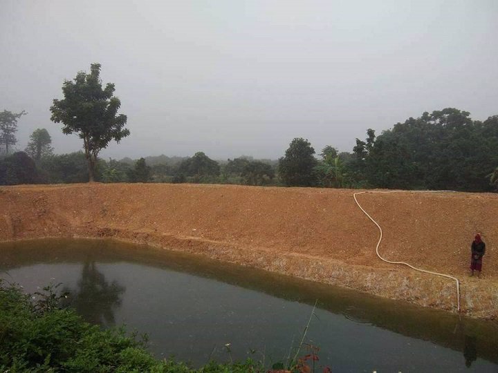 ขายที่ดินสวนลำใย-40-ไร่-หมู่บ้านป่าไผ่-อลี้-จลำพูน