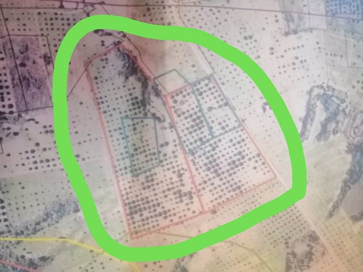 ขายที่ดินสวนลำใย-40-ไร่-หมู่บ้านป่าไผ่-อลี้-จลำพูน