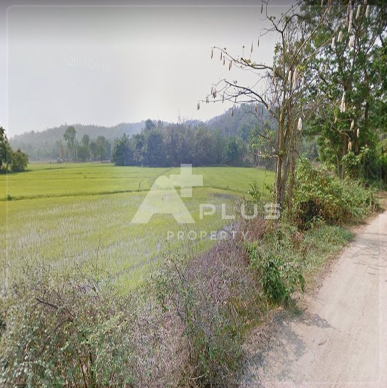 เปิดที่ดินในฝันของหลายๆคน-ติดแม่น้ำปิง-วิวสวยมาก-ที่ดินสวย-วิวแม่น้ำ-โรแมนติกสุดๆ