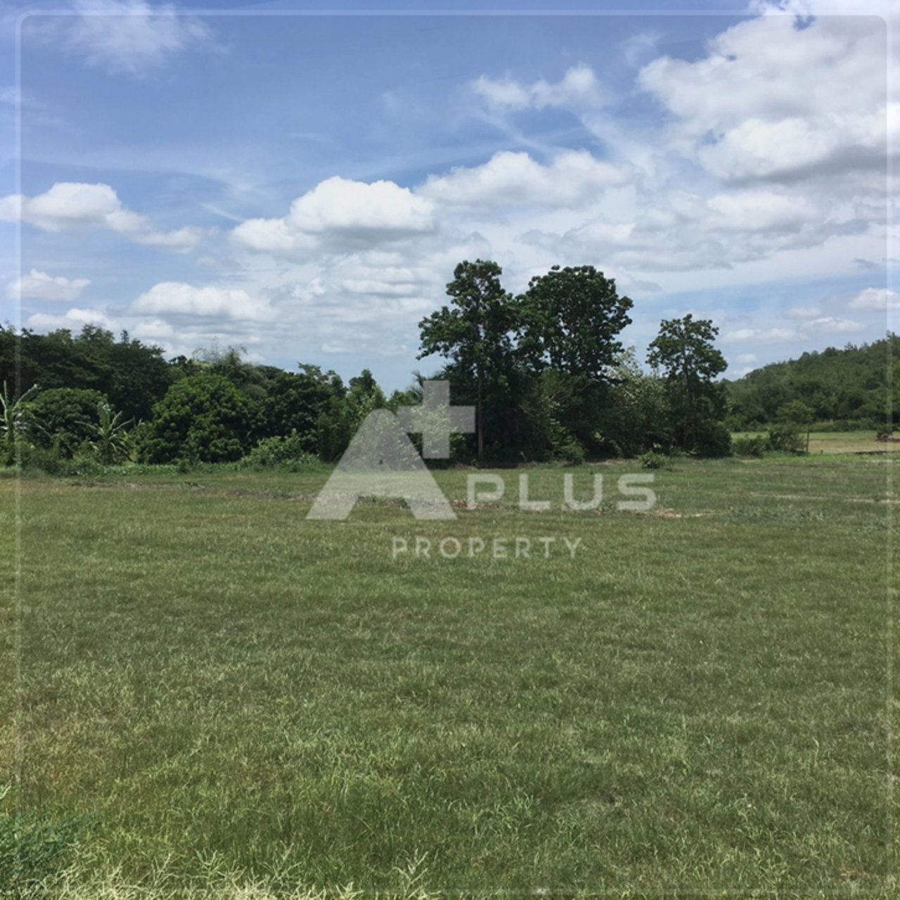 เปิดที่ดินในฝันของหลายๆคน-ติดแม่น้ำปิง-วิวสวยมาก-ที่ดินสวย-วิวแม่น้ำ-โรแมนติกสุดๆ