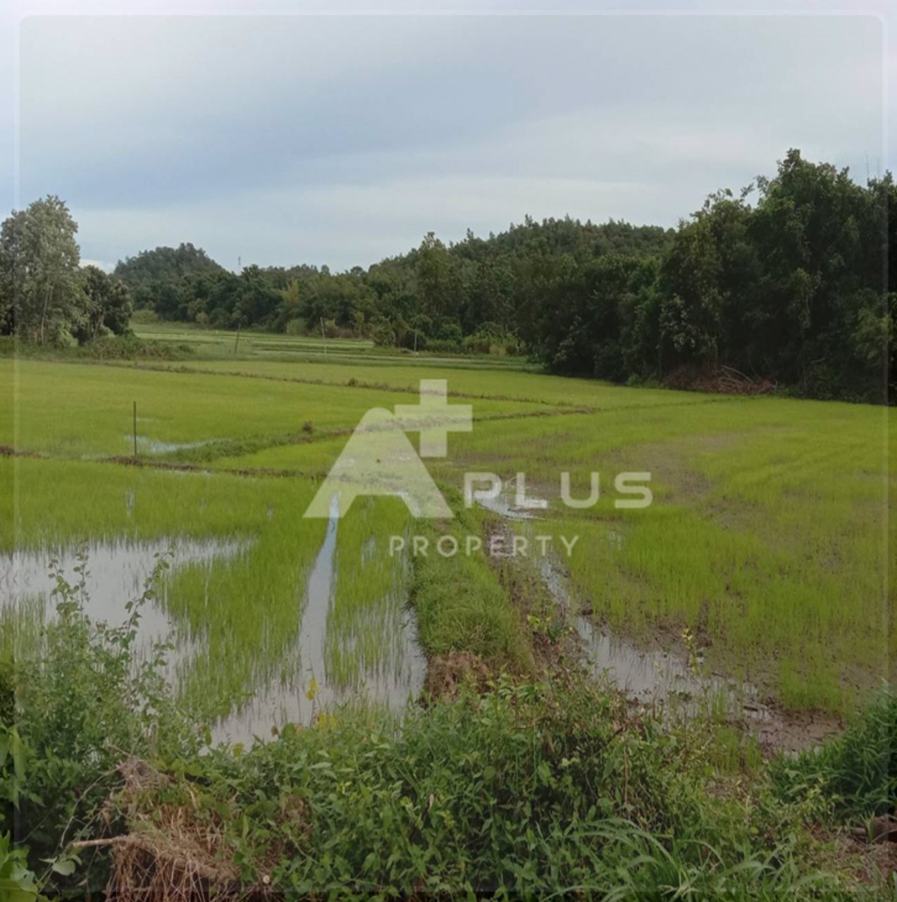 เปิดที่ดินในฝันของหลายๆคน-ติดแม่น้ำปิง-วิวสวยมาก-ที่ดินสวย-วิวแม่น้ำ-โรแมนติกสุดๆ