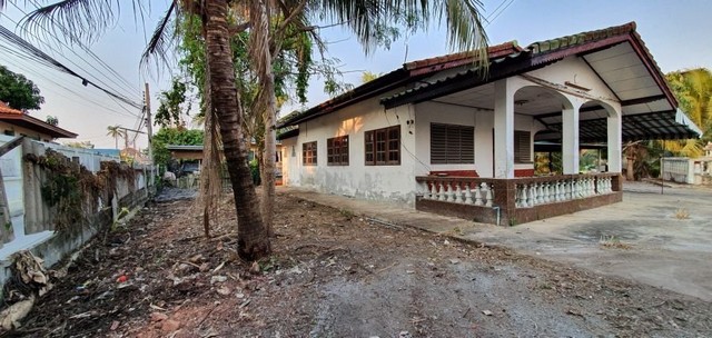 ขายที่ดิน-0-3-25-ไร่-เพชรเกษม-81-มีบ่อปลา-น้ำใส-พร้อมไม้ผล-สงบ-เย็น-เดินทางสะดวก