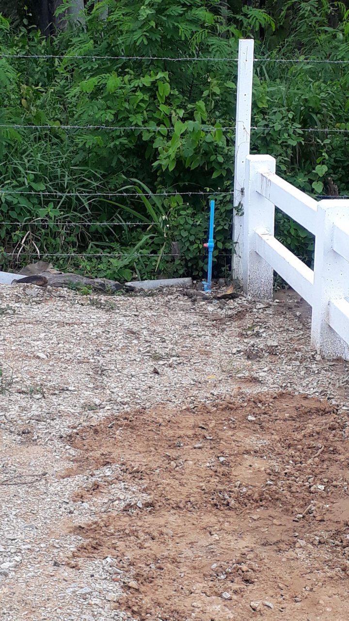 ขายที่ดิน-โฉนดแบ่งขายแปลงละ-1-ไร่-ราคาเริ่มต้นที่-ตารางวาละ-6000-บาท