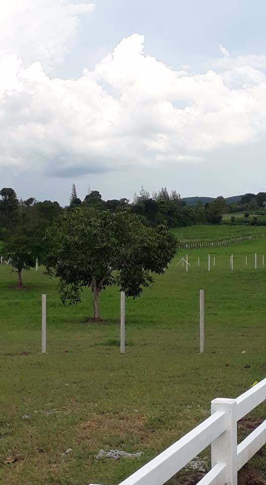 ขายที่ดิน-โฉนดแบ่งขายแปลงละ-1-ไร่-ราคาเริ่มต้นที่-ตารางวาละ-6000-บาท