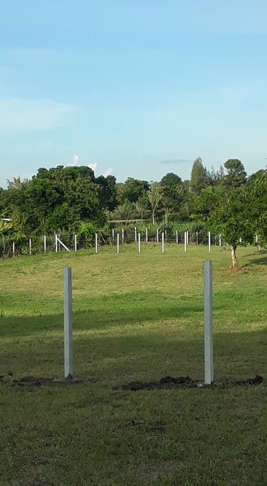 ขายที่ดิน-โฉนดแบ่งขายแปลงละ-1-ไร่-ราคาเริ่มต้นที่-ตารางวาละ-6000-บาท