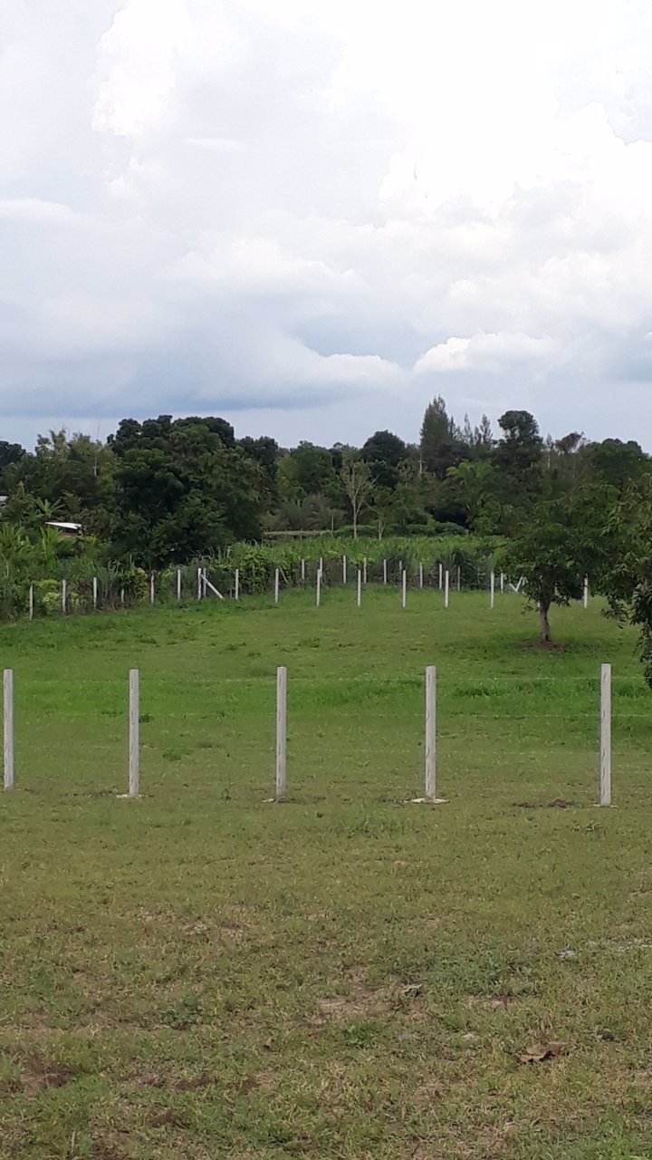 ขายที่ดิน-โฉนดแบ่งขายแปลงละ-1-ไร่-ราคาเริ่มต้นที่-ตารางวาละ-6000-บาท