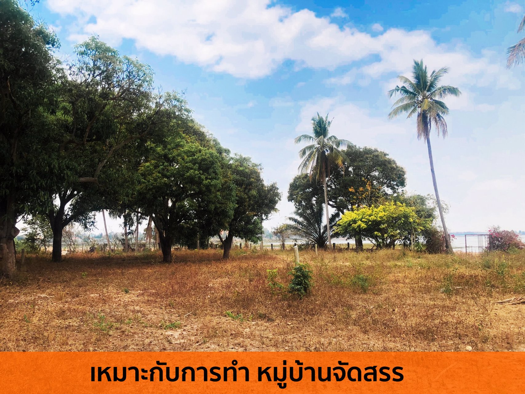 ด่วน-ขายที่ดินอำนาจเจริญ-ติดริมน้ำ-ใจกลางเมือง-เหมาะกับทำบ้านจัดสรร-ที่พัก-ร้านอาหาร-คาเฟ่