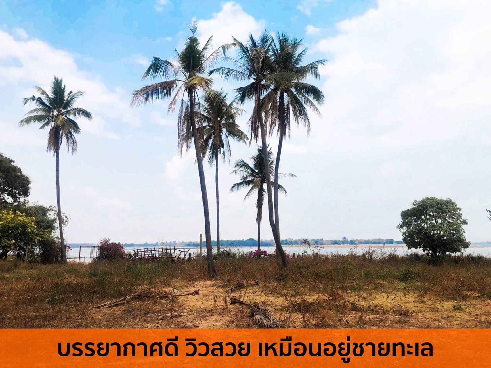 ด่วน-ขายที่ดินอำนาจเจริญ-ติดริมน้ำ-ใจกลางเมือง-เหมาะกับทำบ้านจัดสรร-ที่พัก-ร้านอาหาร-คาเฟ่