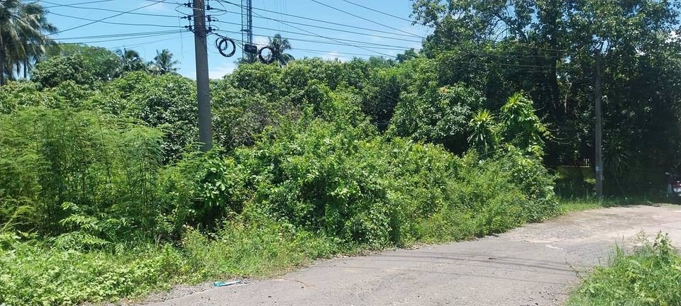 ขายที่สวน-ติดถนน-4เลนส์-บุรีรัมย์-สุรินทร์