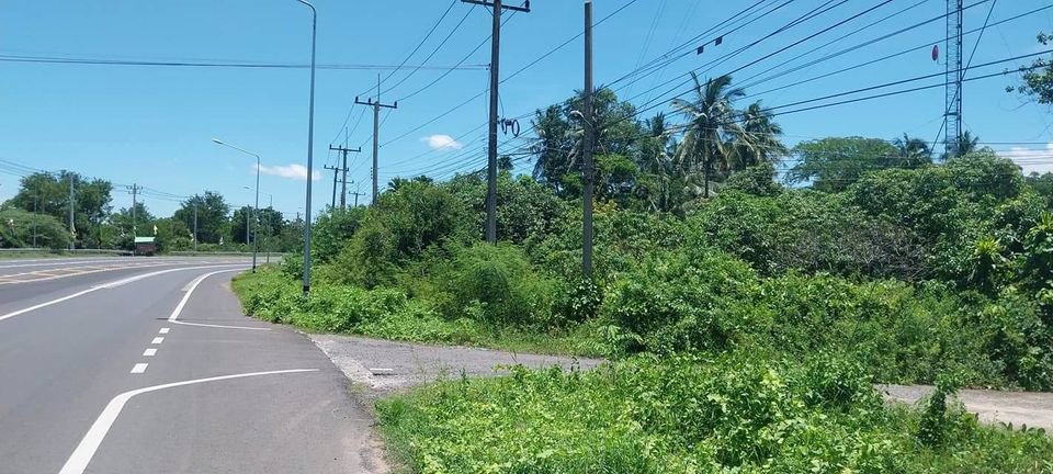 ขายที่สวน-ติดถนน-4เลนส์-บุรีรัมย์-สุรินทร์