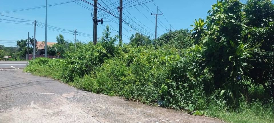 ขายที่สวน-ติดถนน-4เลนส์-บุรีรัมย์-สุรินทร์