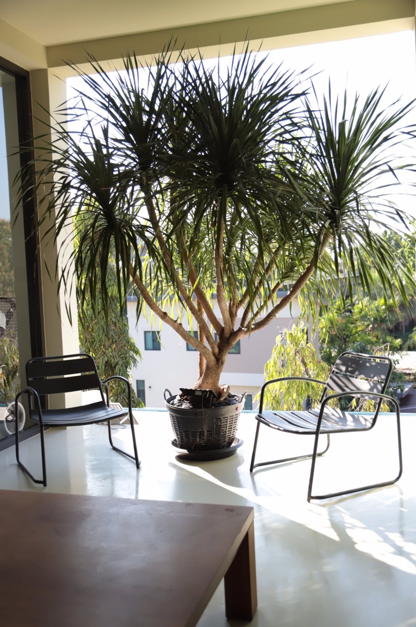 ขายอาคาร-3-ชั้น-เลียบ-มอเตอร์เวย์-พัฒนาการ-พระราม-9